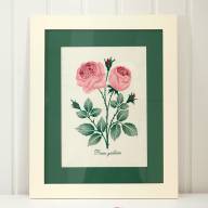 Картина с вышивкой Luxberry Роза Gallica
