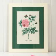 Картина с вышивкой Luxberry Роза Indica